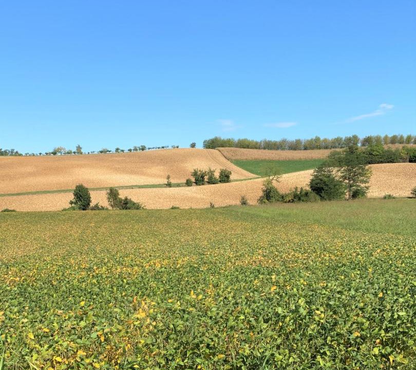 Photo of Others in Solonghello