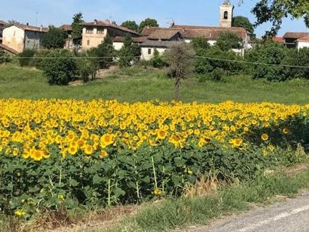 Photo of Others in Solonghello