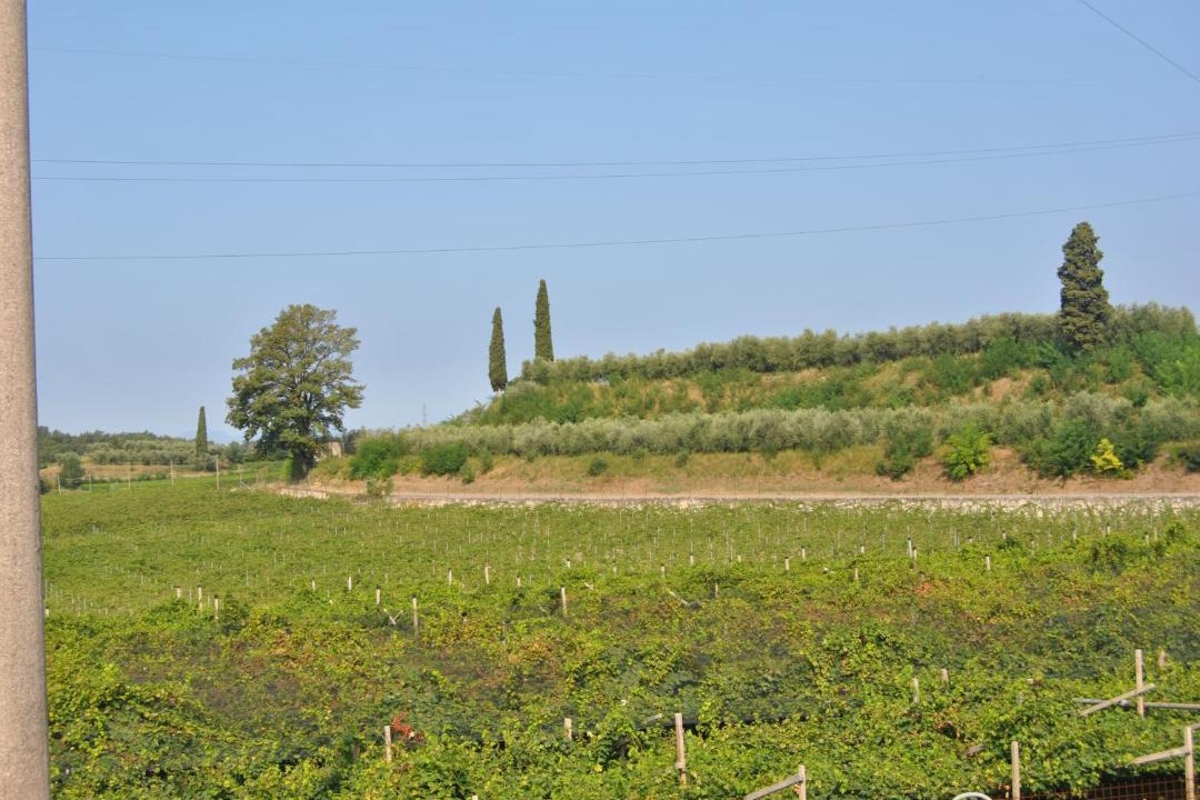 Photo of Others in Pastrengo