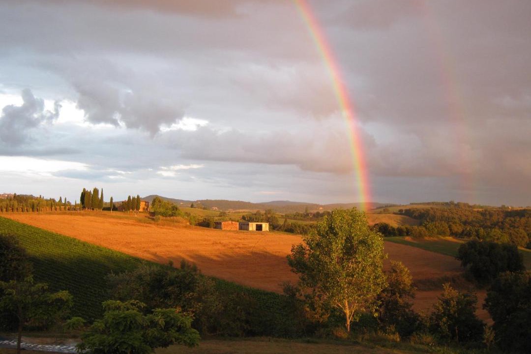 Photo of Others in Torrita di Siena