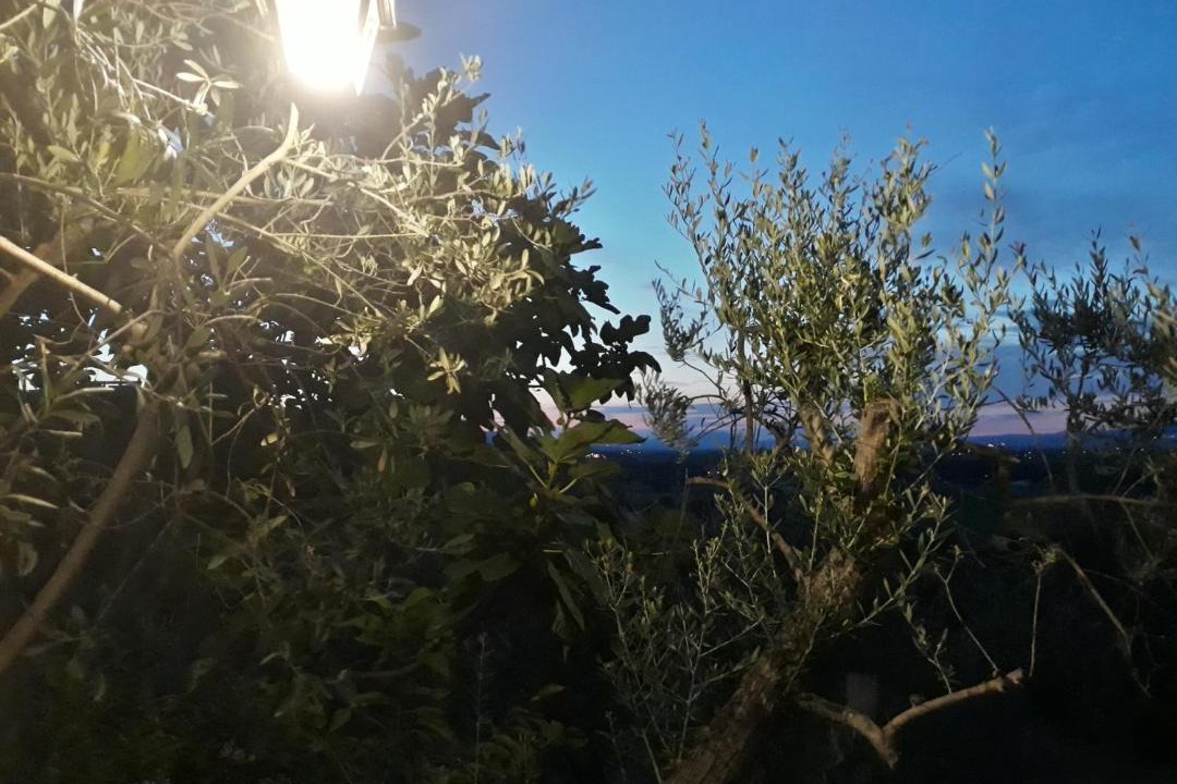 Photo of Outdoor in Montefalco