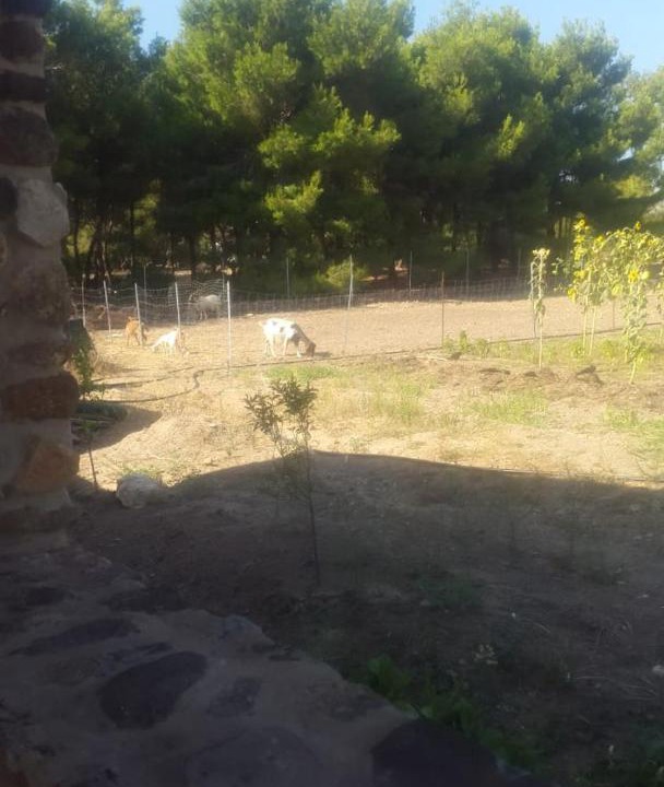 Photo of Outdoor in Sant'Antioco