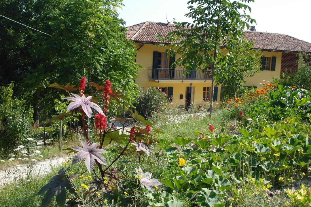 Photo of Buildings in Cassinasco
