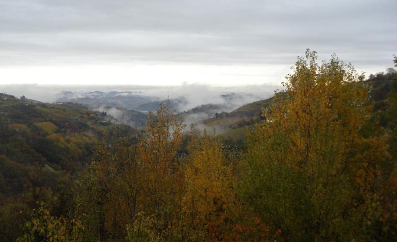 Photo of Outdoor in Cassinasco
