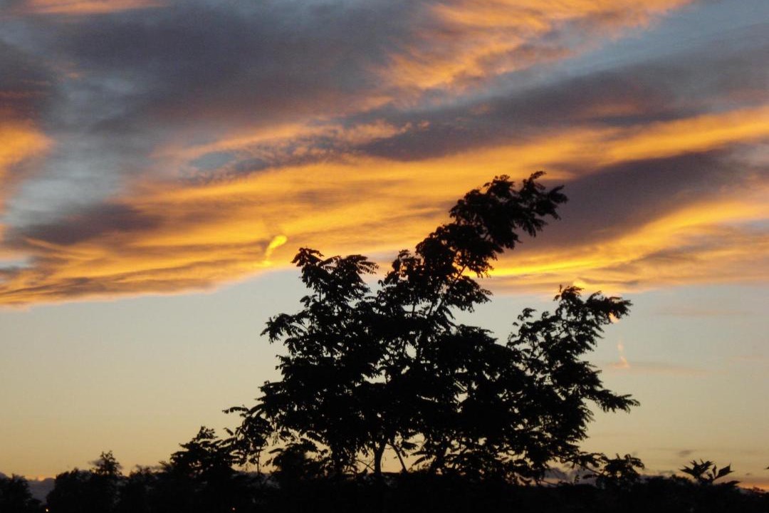 Photo of Outdoor in Cassinasco