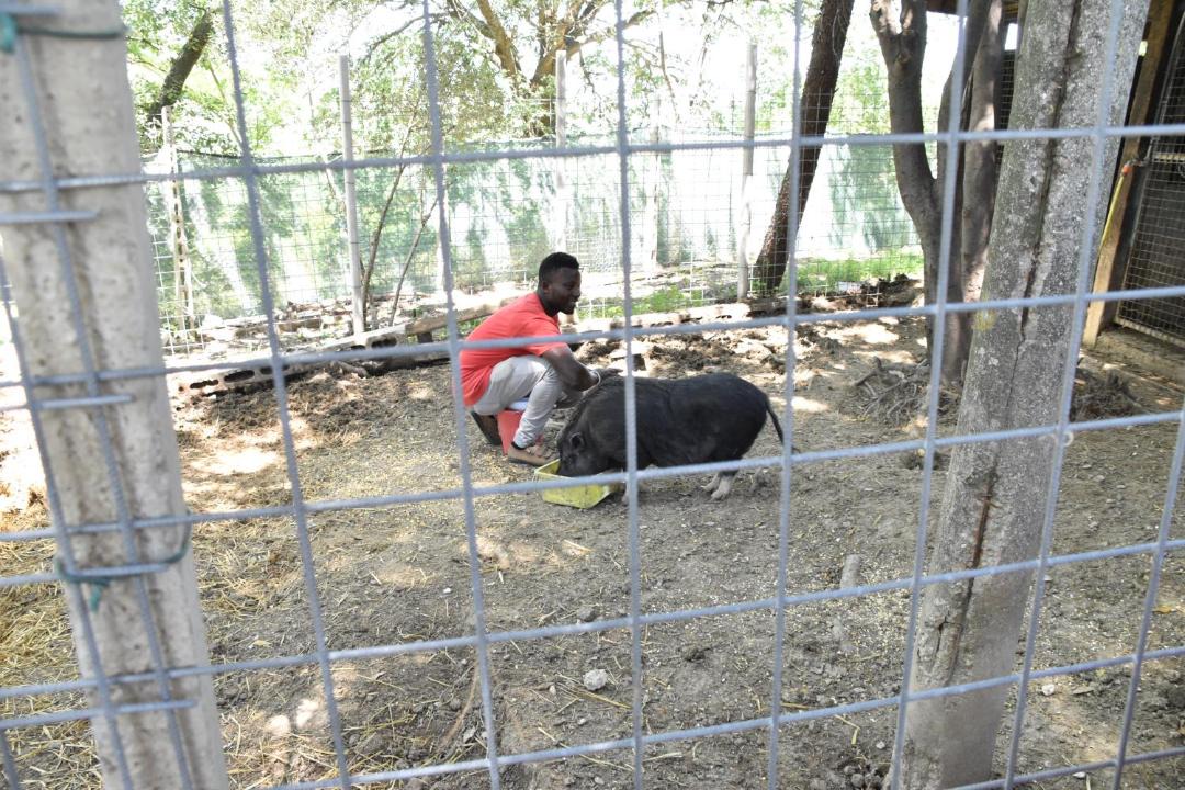 Photo of Human In Picture in Montecarotto