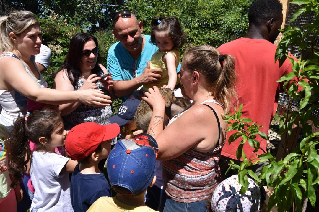 Photo of Human In Picture in Montecarotto
