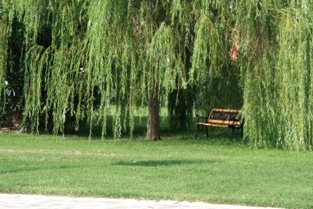 Photo of Others in Correzzola