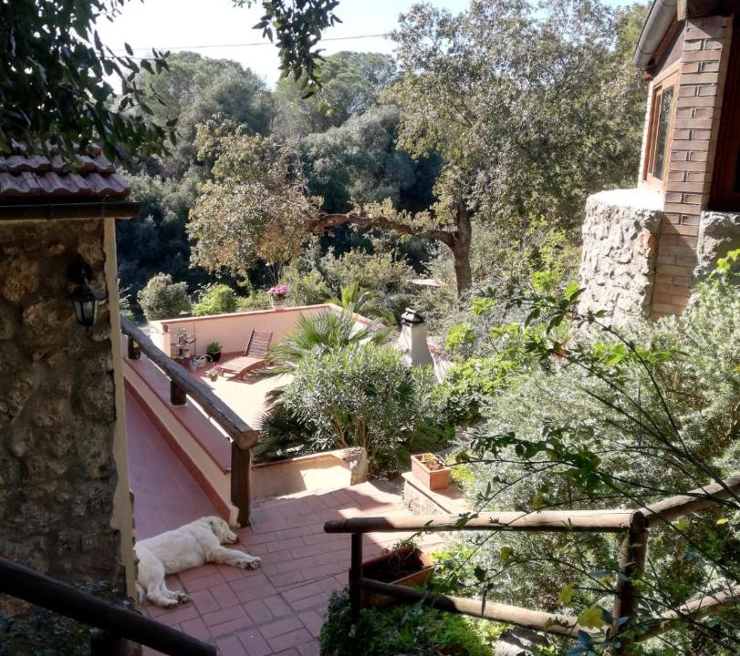 Photo of Others in Ansedonia
