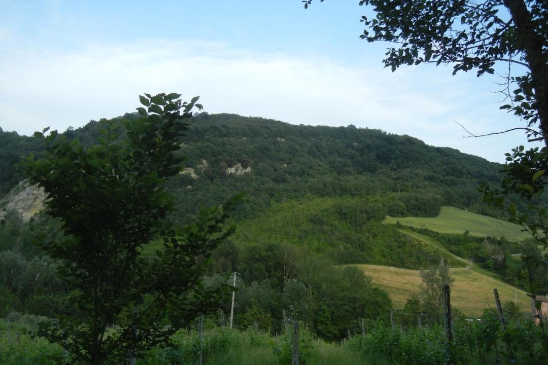 Photo of Others in Mercatale