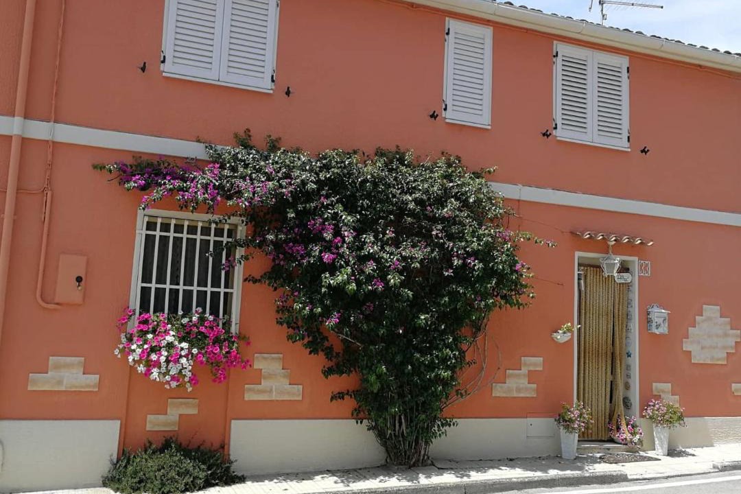 Photo of Others in Sirolo