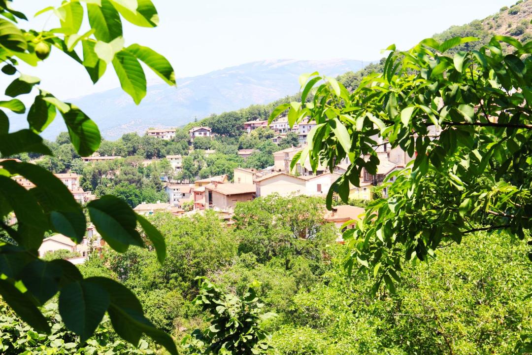 Photo of Others in Aritzo