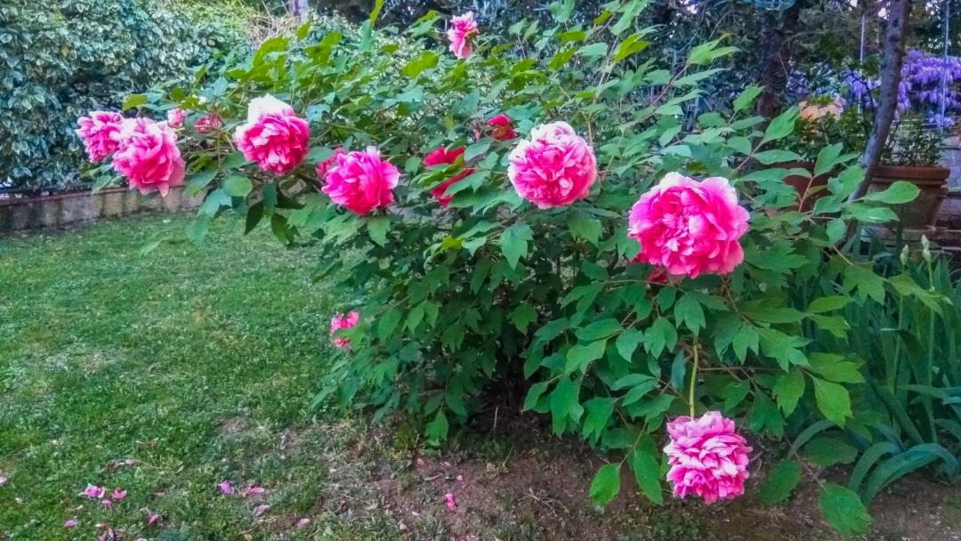 Photo of Outdoor in Vaglia