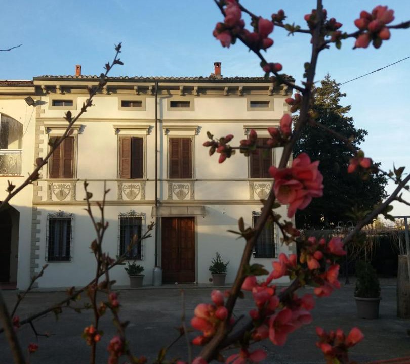 Photo of Others in Gualtieri