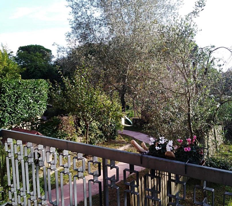 Photo of Others in Lake Garda
