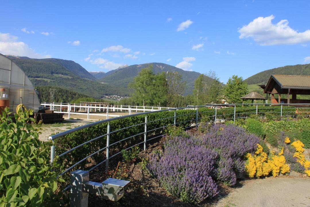 Photo of Others in Riscone
