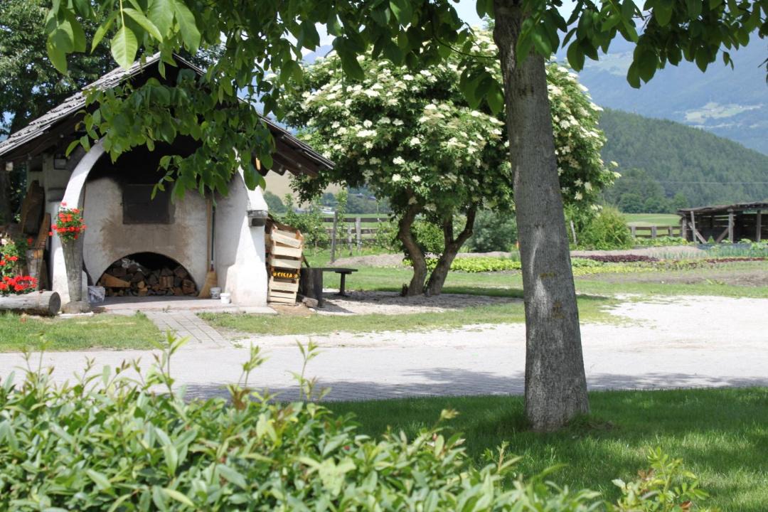 Photo of Others in Riscone