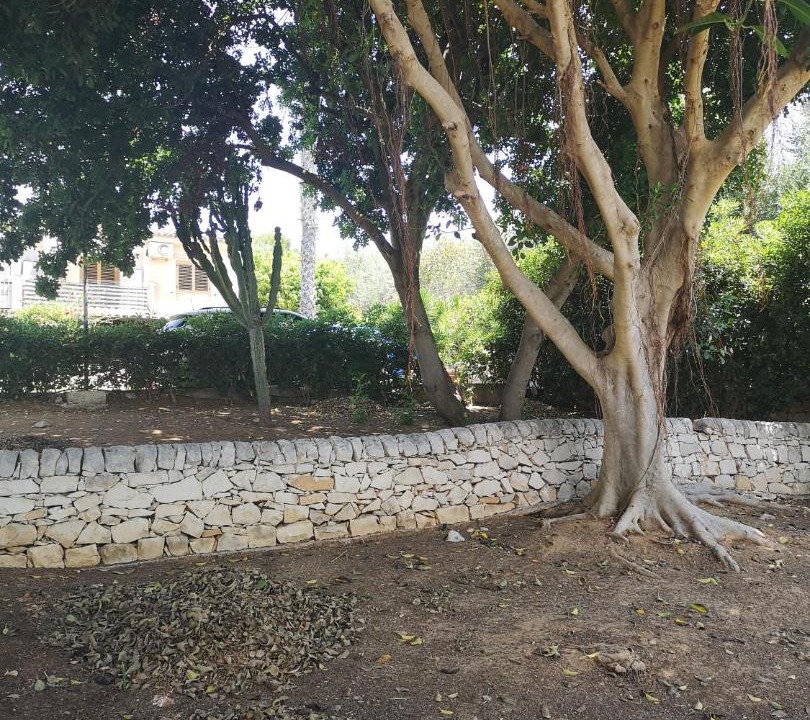 Photo of Outdoor in Ragusa
