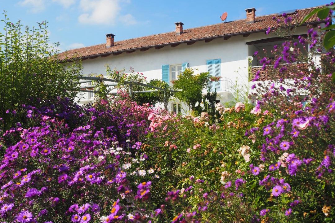 Photo of Others in Belveglio
