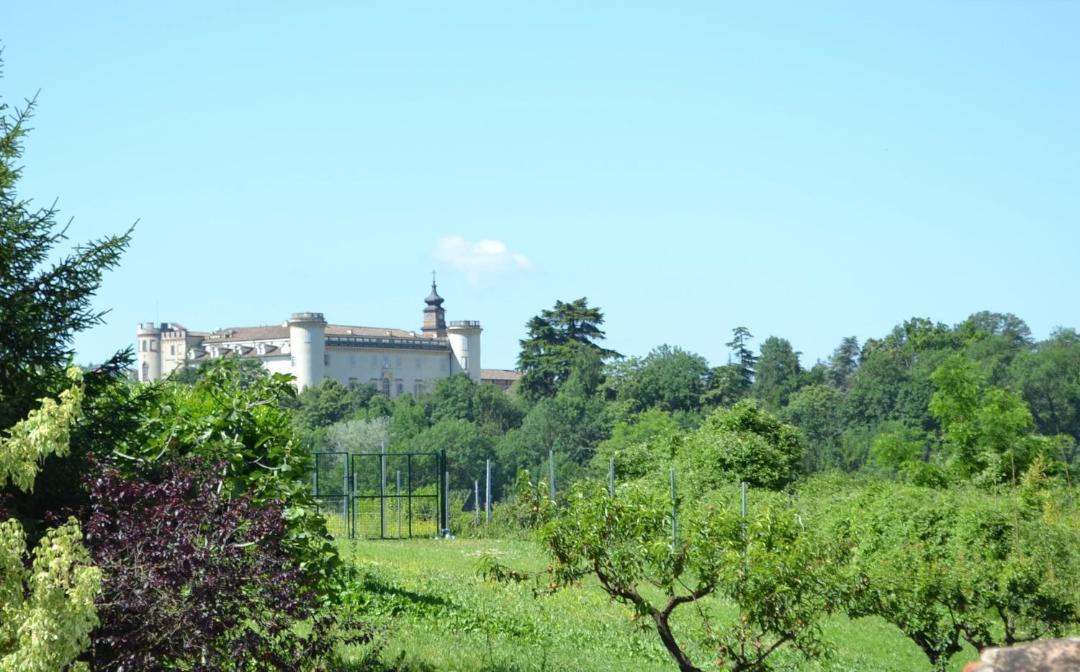 Photo of Others in Costigliole d'Asti