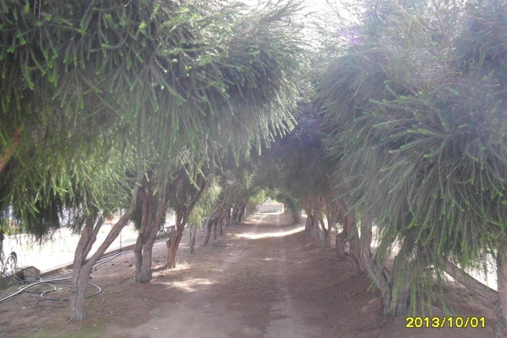 Photo of Others in Gonnesa