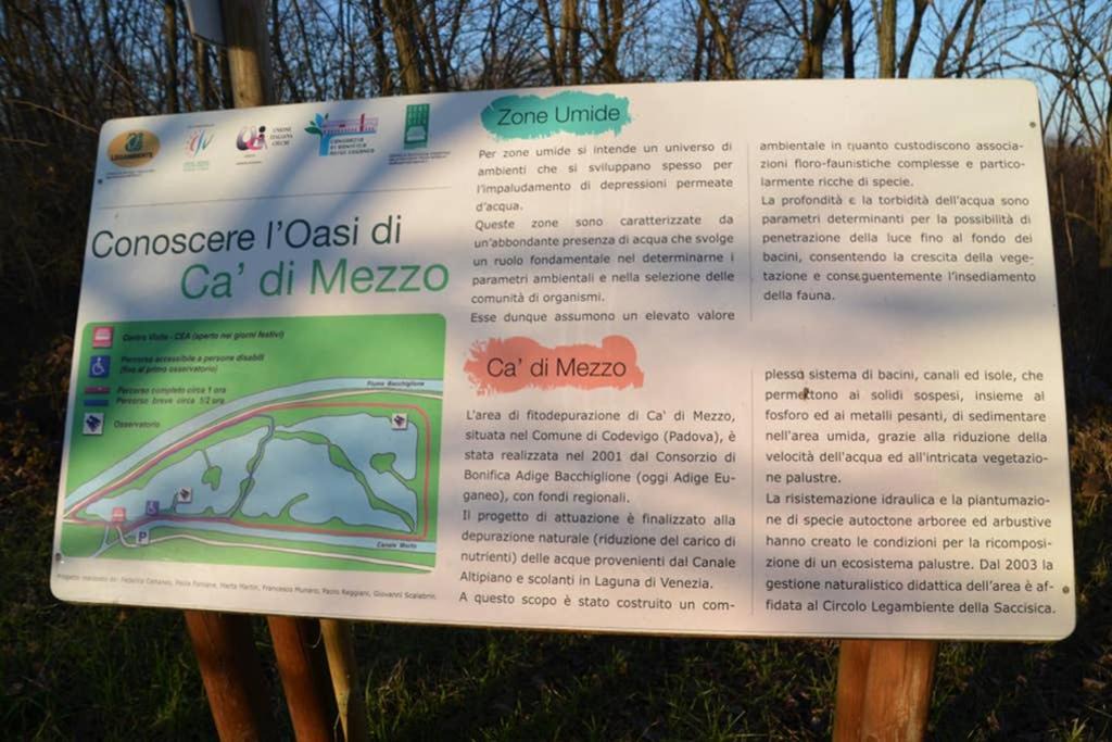 Photo of Outdoor in Codevigo