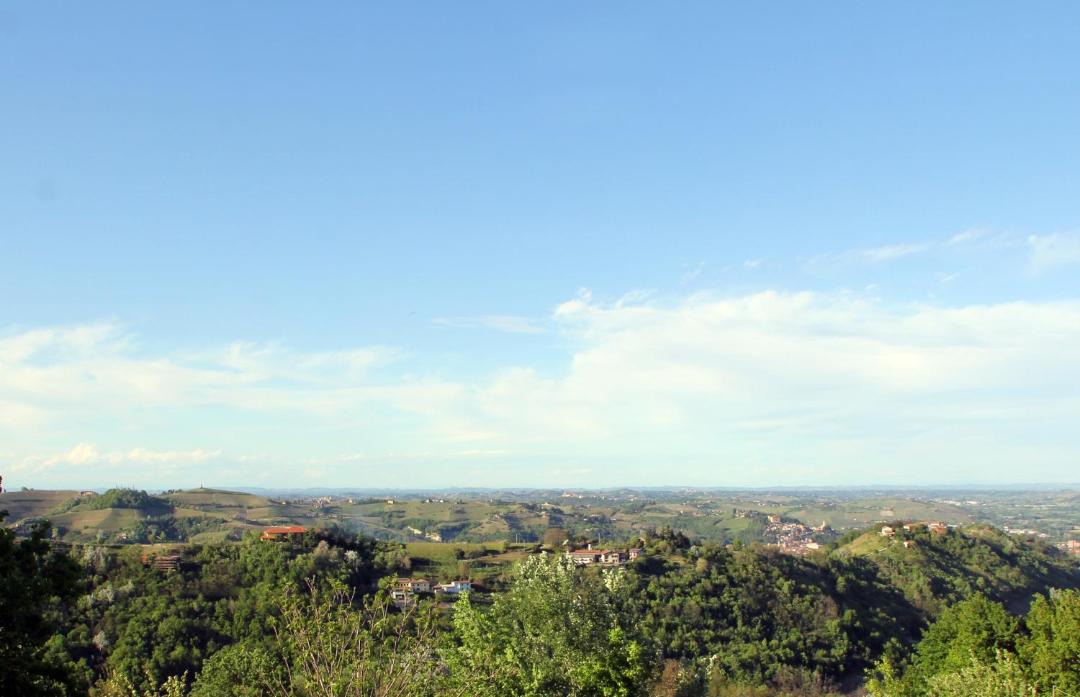 Photo of Outdoor in Loazzolo