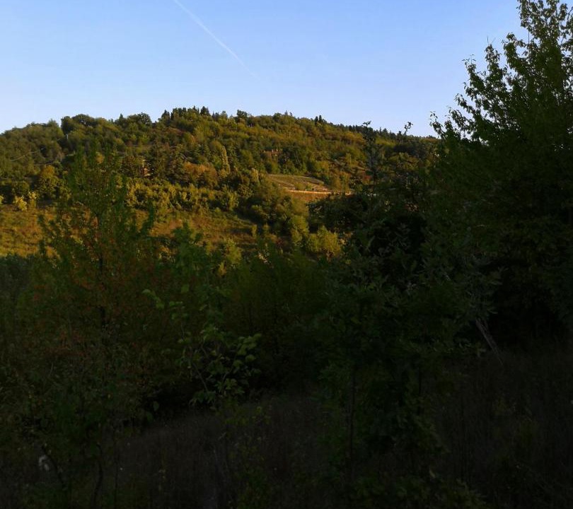 Photo of Others in Ozzano dell'Emilia