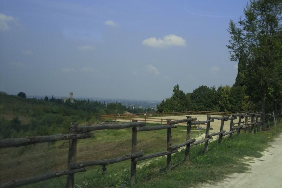 Photo of Others in Ozzano dell'Emilia