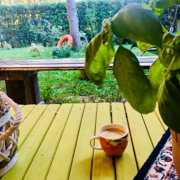 Photo of Patio Balcony in Fregenae