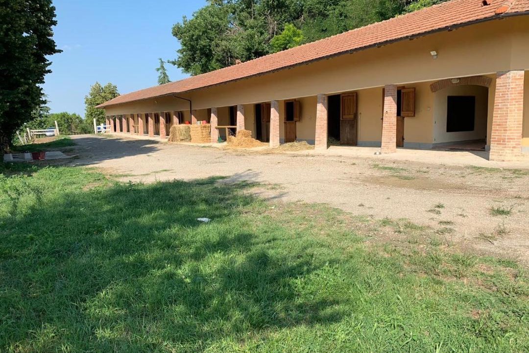 Photo of Others in Ozzano dell'Emilia
