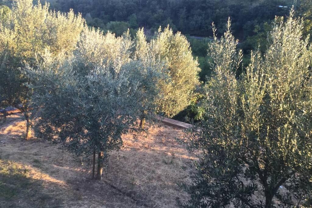 Photo of Others in San Giovanni-Chiadino-Rozzol