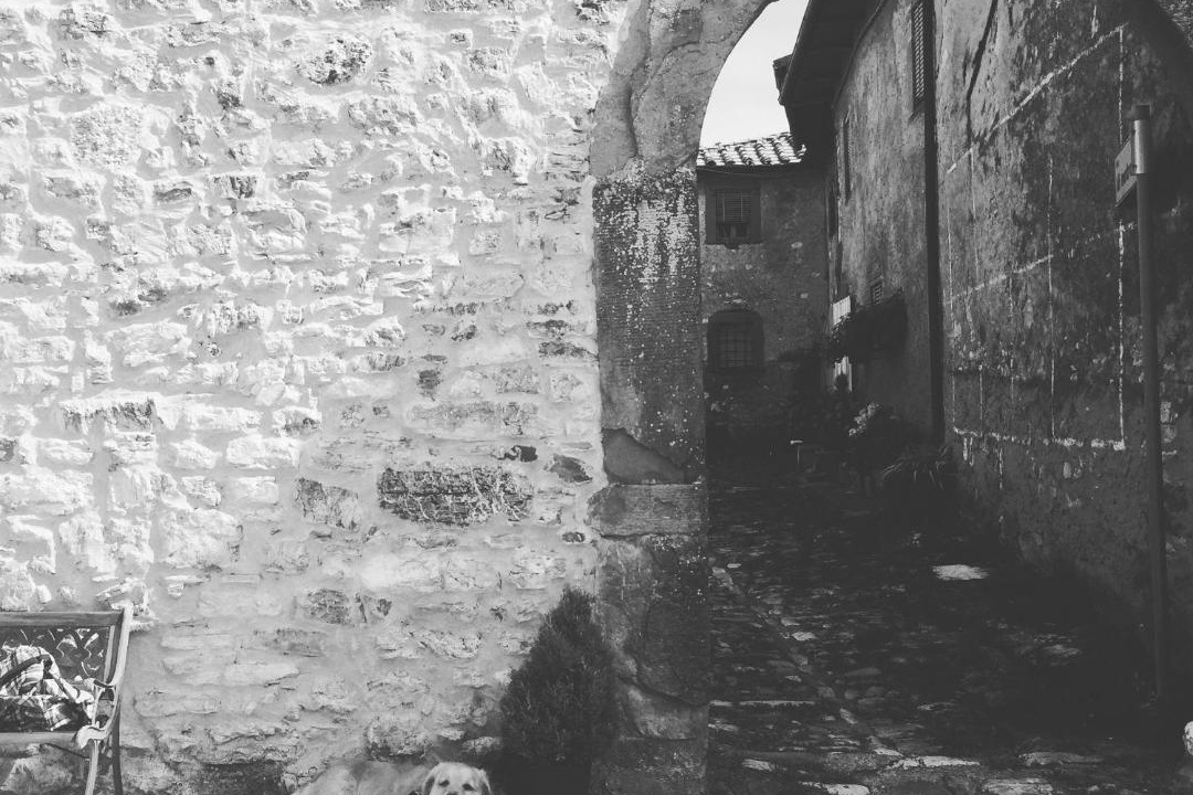 Photo of Others in Borgo a Mozzano