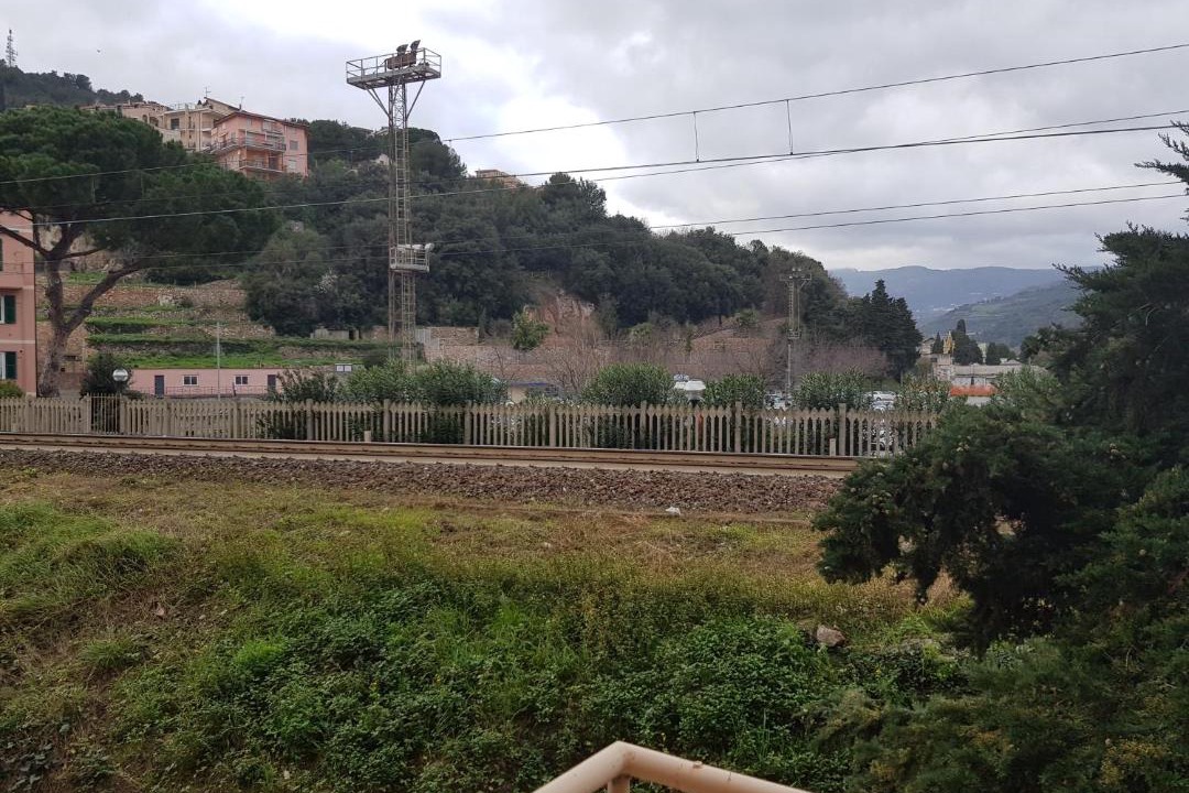 Photo of Others in Pietra Ligure