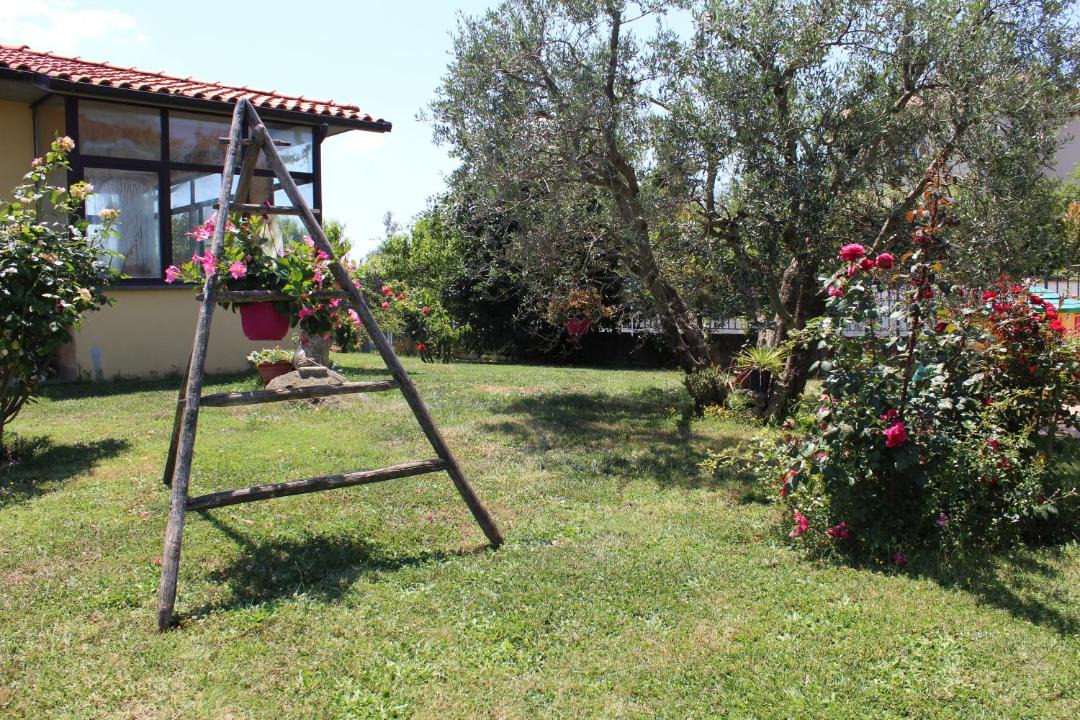 Photo of Others in Montefiascone
