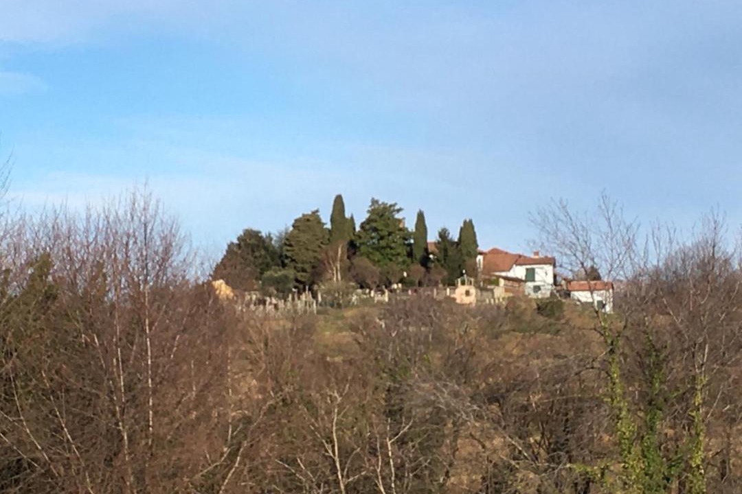 Photo of Others in Montevecchia