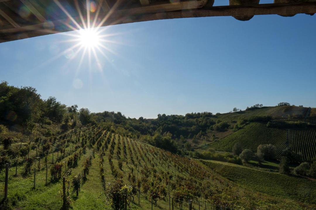 Photo of Others in Castelnuovo Calcea