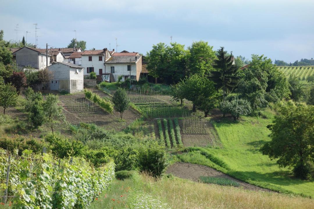 Photo of Others in Vignale Monferrato