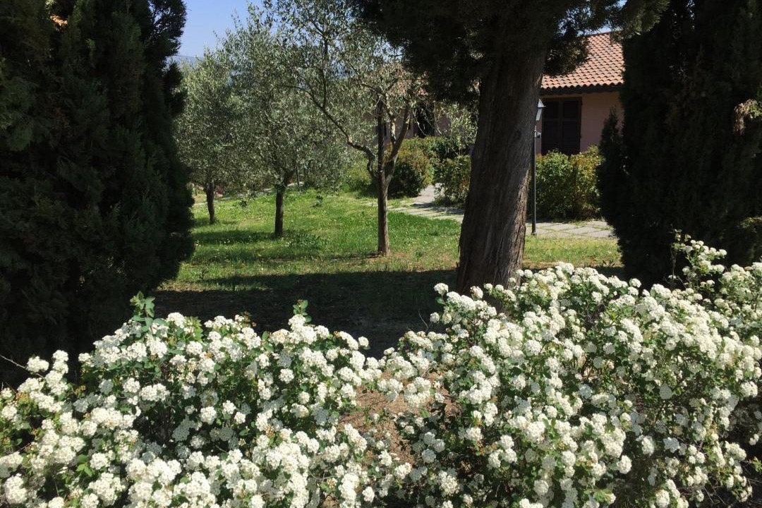 Photo of Outdoor in Vinci