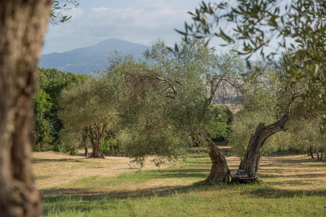 Photo of Outdoor in Pienza