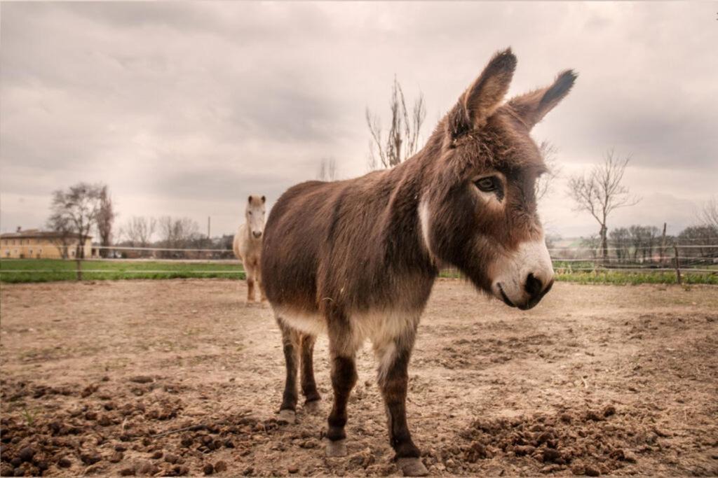 Photo of Others in Protte