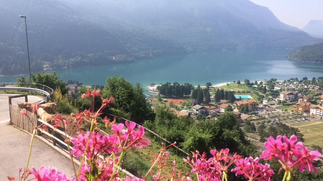 Photo of Others in Molveno