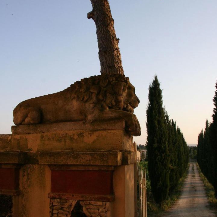 Photo of Others in Giovi-Ponte Alla Chiassa