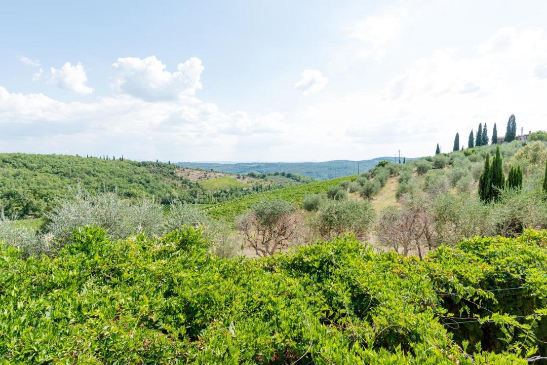 Photo of Others in Gaiole in Chianti