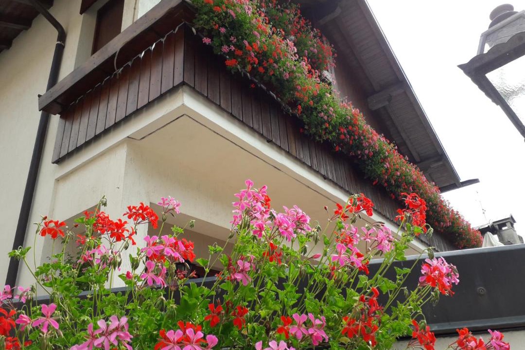 Photo of Buildings in Zoldo Alto