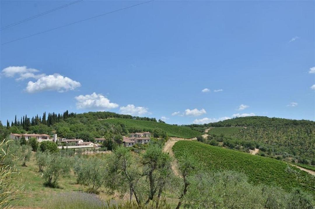 Photo of Others in Gaiole in Chianti
