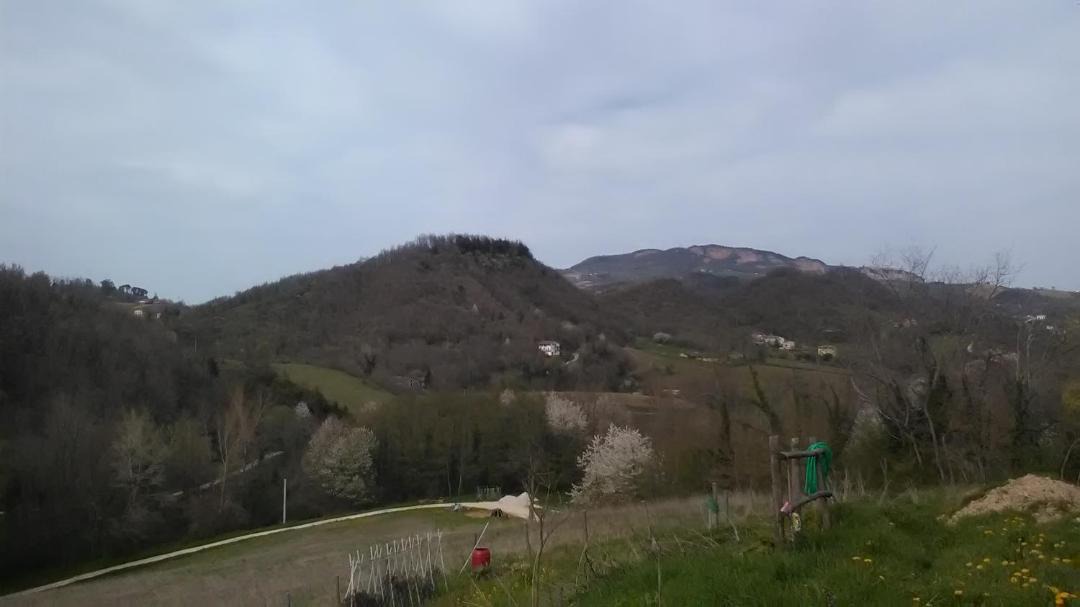 Photo of Others in Comunanza
