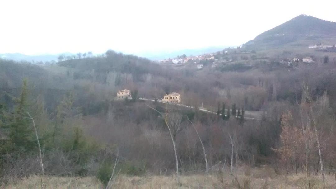 Photo of Outdoor in Comunanza