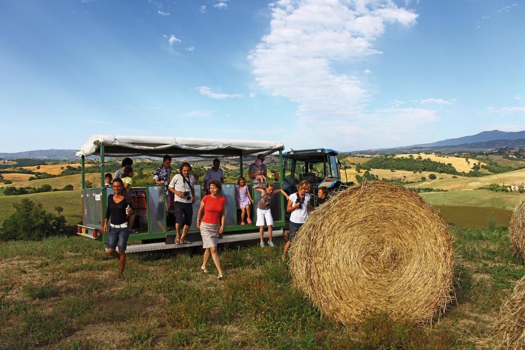Photo of Others in La Cava