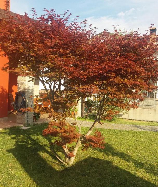 Photo of Outdoor in Serravalle Scrivia